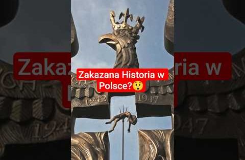 Legia Shahtar Zakaz Wstępu 🇵🇱 🤔🤬 #football #instagram #shorts #viral #viralvideo #viralshorts #news