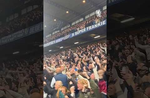 FANS at full-time! 🤩