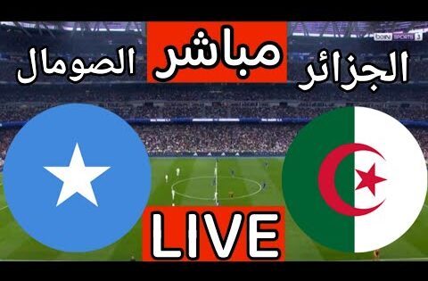 بث مباشر مباراة الجزائر والصومال اليوم في تصفيات كاس العالم 2026 | بث مباشر مباراة الجزائر اليوم