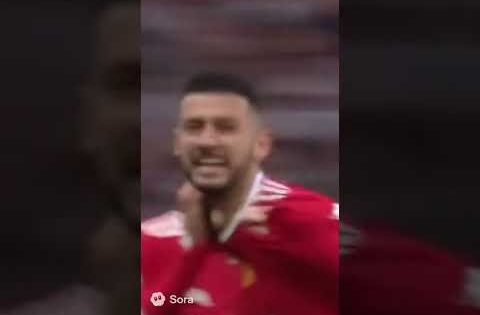 Football Match Interrupted by a Cat again! 🐱⚽ Футбольний матч знов перервав кіт!